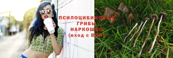 соль курить ск Алексин