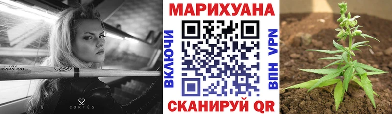 Бошки марихуана марихуана  где найти наркотики  Тамбов 